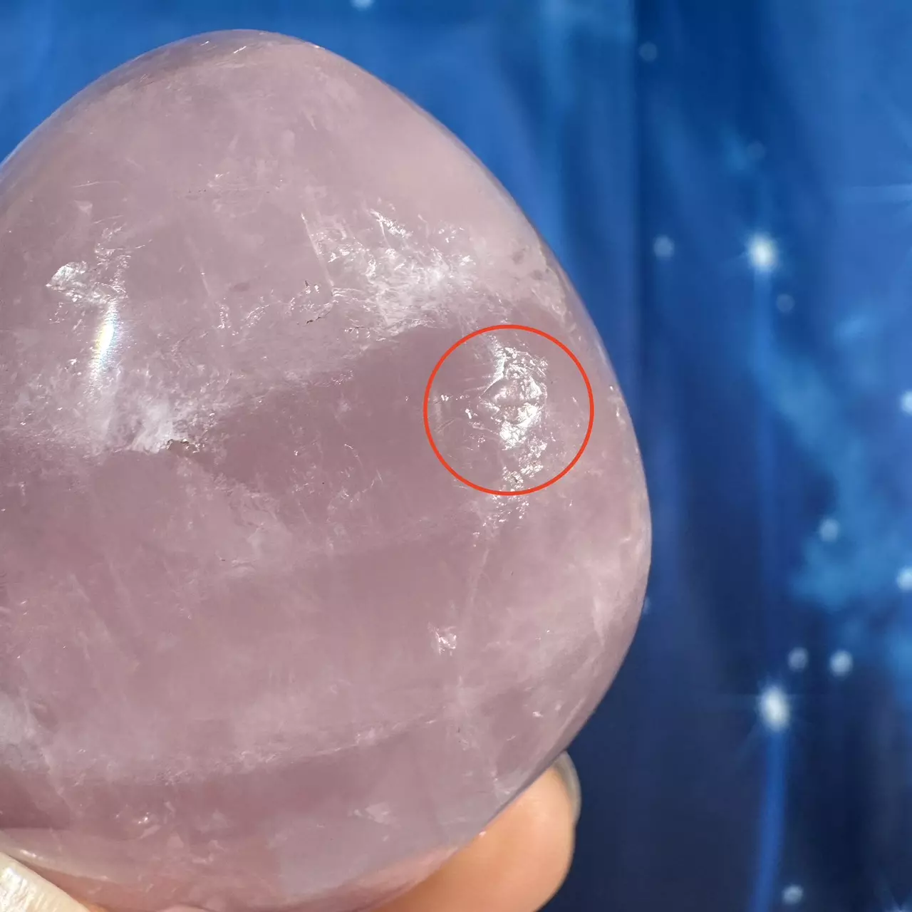 plant/Rose Quartz Palm - 28g-7