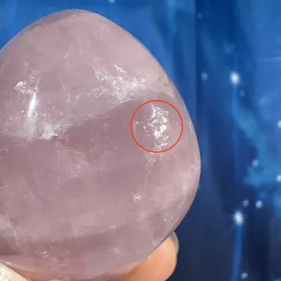 plant/Rose Quartz Palm - 28g-7-thumbnail