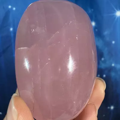 plant/Rose Quartz Palm - 28u-4-thumbnail