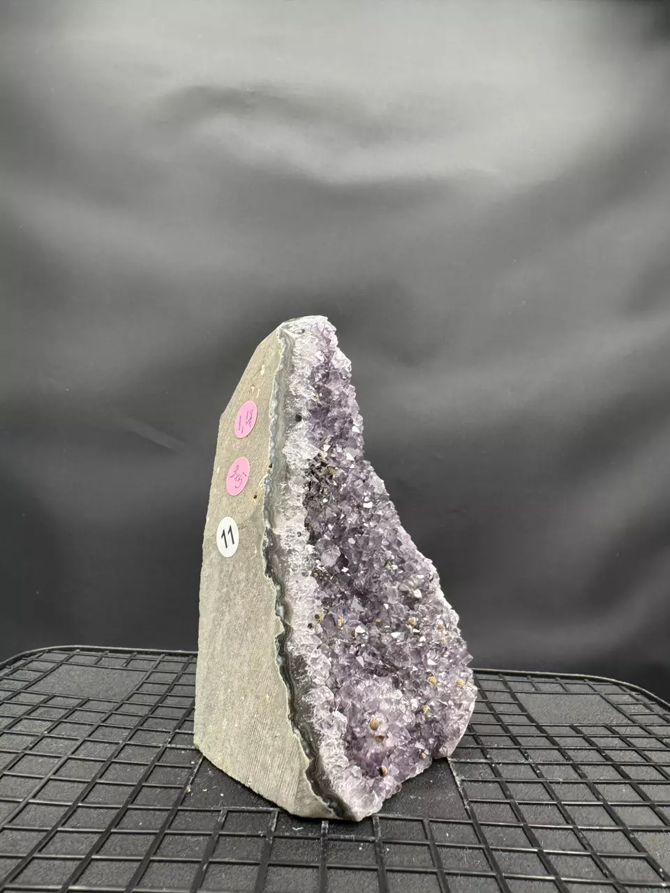 plant/#11 Amethyst Geode-1