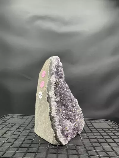 plant/#11 Amethyst Geode-1-thumbnail