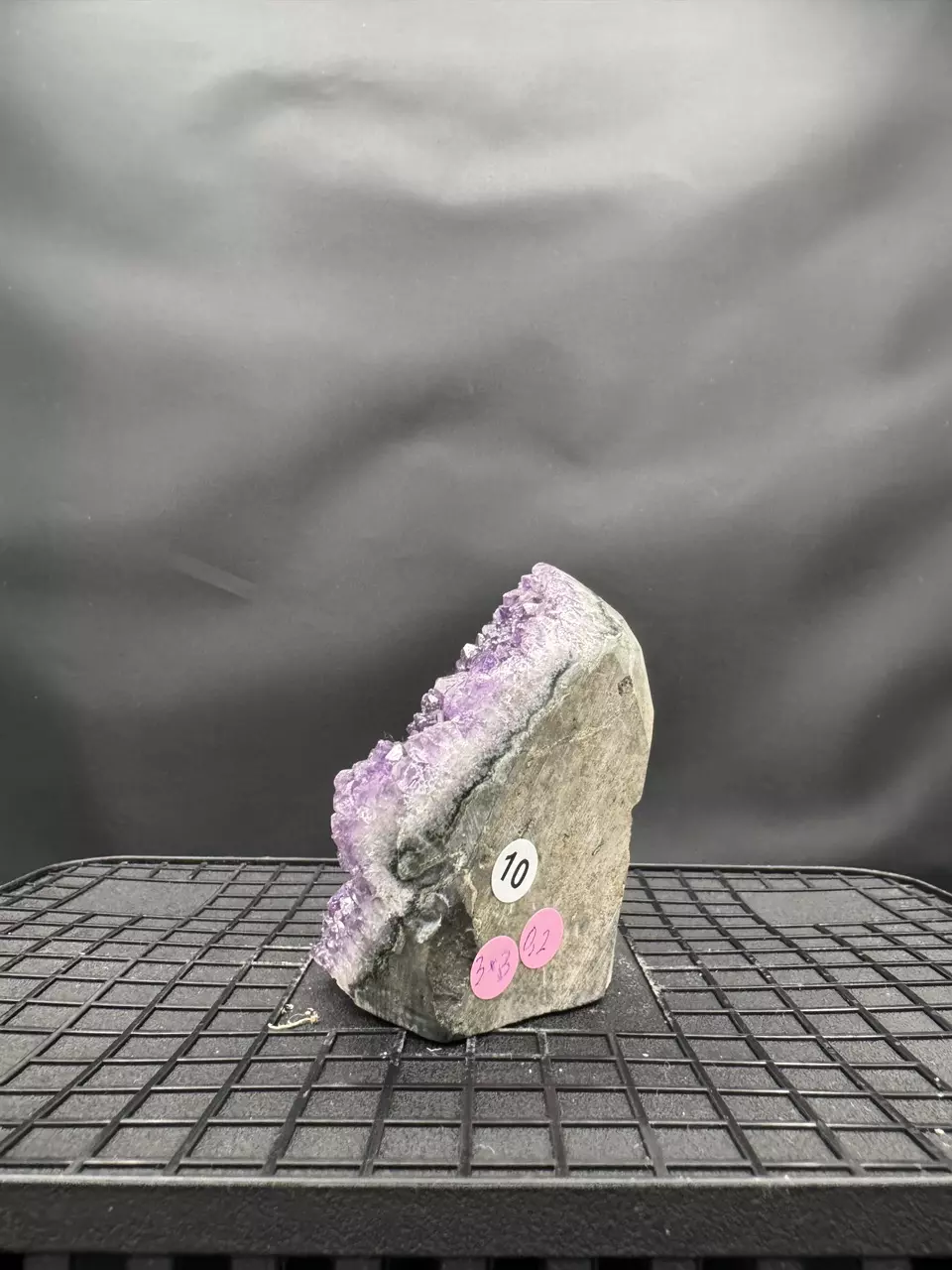 plant/#10 Amethyst Geode-1