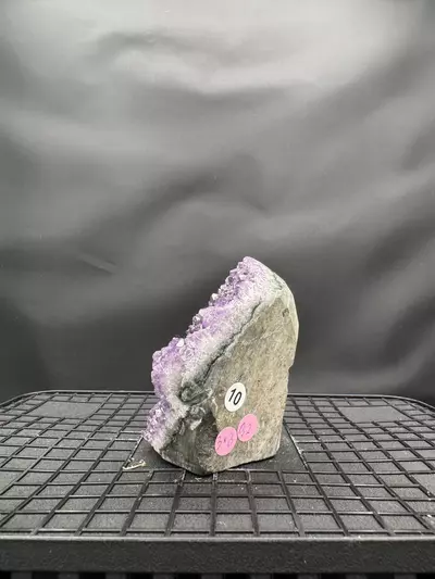 plant/#10 Amethyst Geode-1-thumbnail