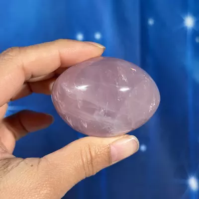 plant/Rose Quartz Palm - 28f-2-thumbnail