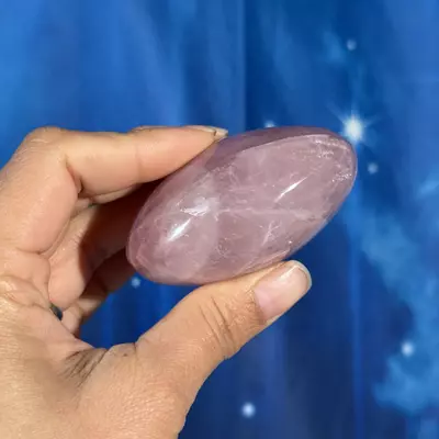 plant/Rose Quartz Palm - 28g-2-thumbnail