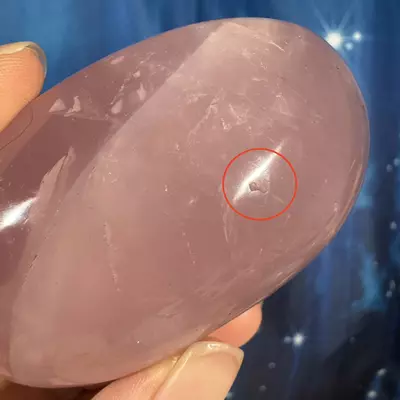 plant/Rose Quartz Palm - 29z-3-thumbnail