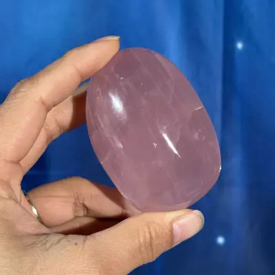 plant/Rose Quartz Palm - 28u-1-thumbnail