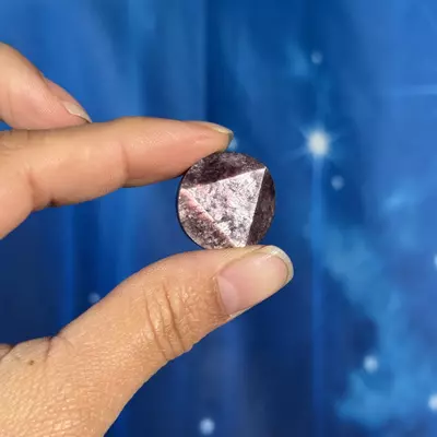 plant/Gem Lepidolite coin - 14y-0-thumbnail