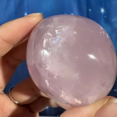 plant/Rose Quartz Palm - 28f-5-thumbnail