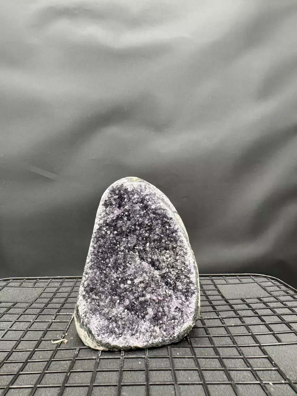 plant/#7 Black Amethyst Geode-0