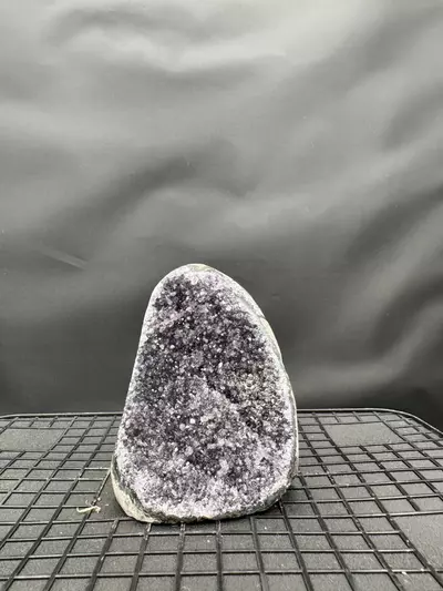 plant/#7 Black Amethyst Geode-0-thumbnail