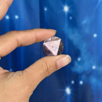 plant/Gem Lepidolite coin - 14j-1-thumbnail