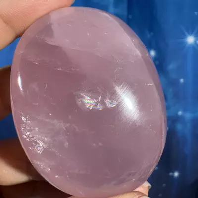 plant/Rose Quartz Palm - 24e-6-thumbnail