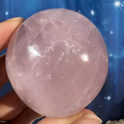 plant/Rose Quartz Palm - 28f-3-thumbnail