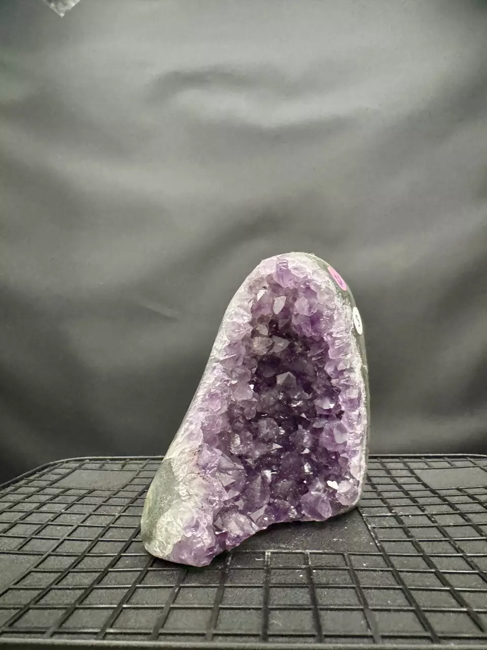 plant/#3 Amethyst Geode-0