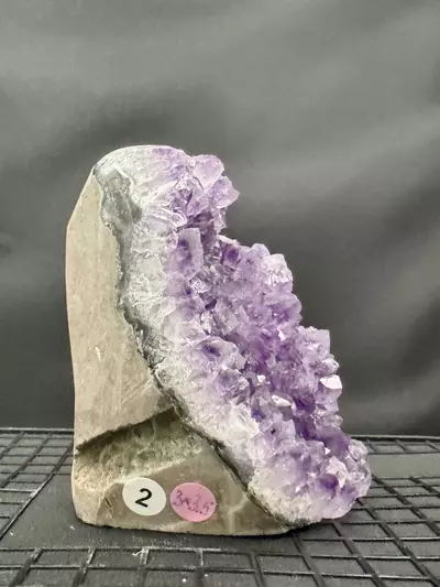 plant/#2 Amethyst Geode-1-thumbnail