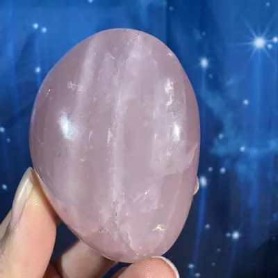 plant/Rose Quartz Palm - 26f-4-thumbnail