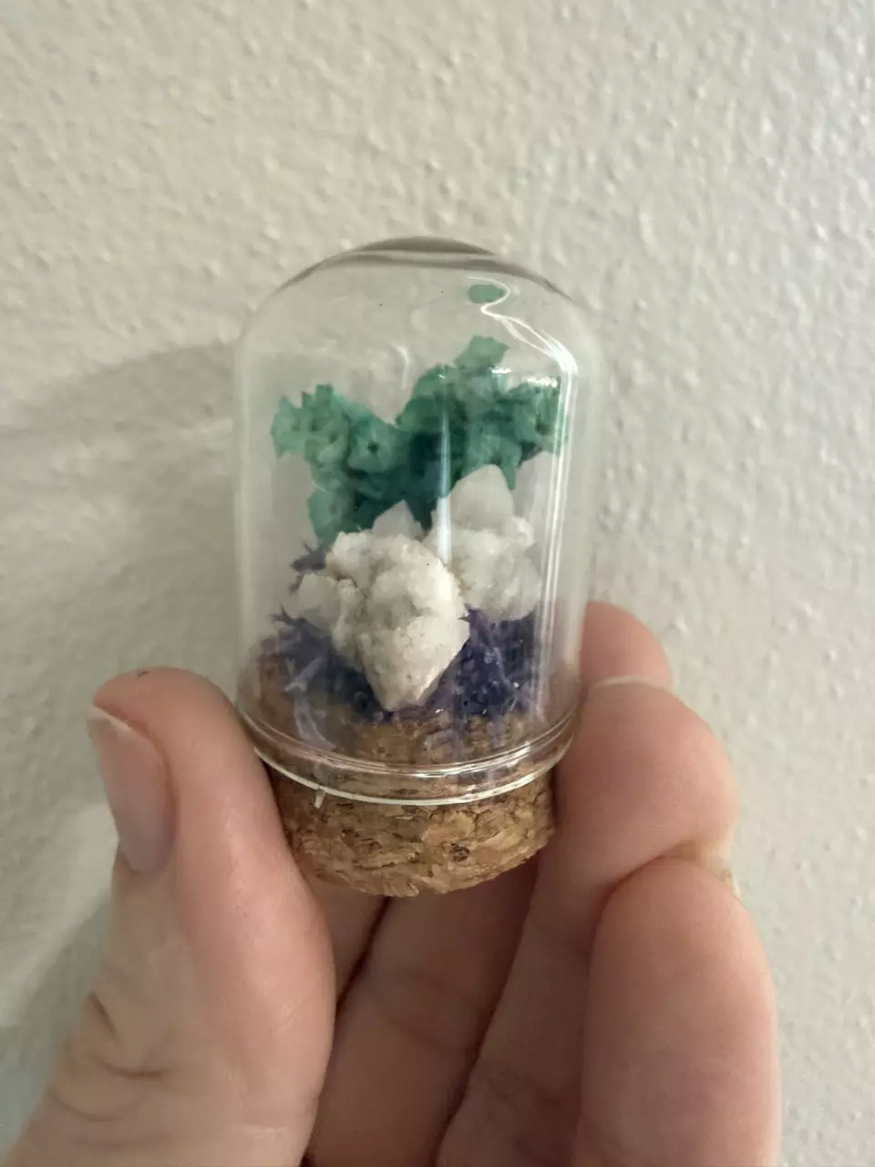 plant/Mini Cloche - cactus quartz 1-2