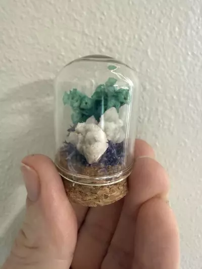 plant/Mini Cloche - cactus quartz 1-2-thumbnail