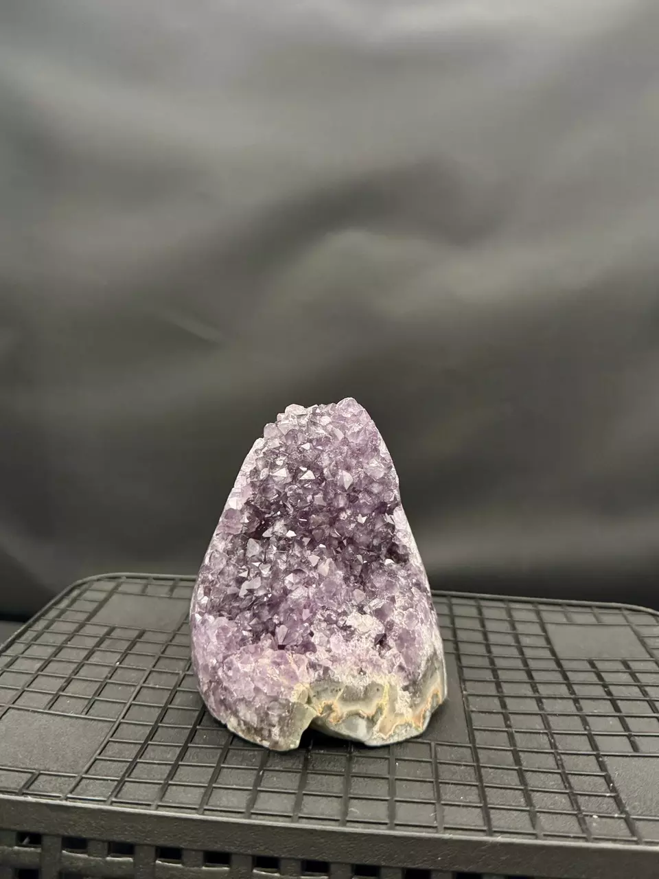 plant/#1 Amethyst Geode-0