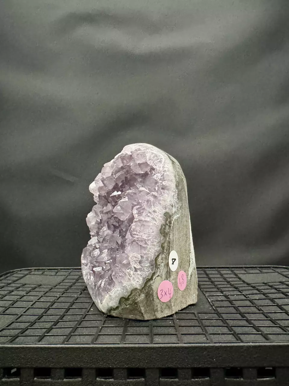plant/#4 Amethyst Geode-1