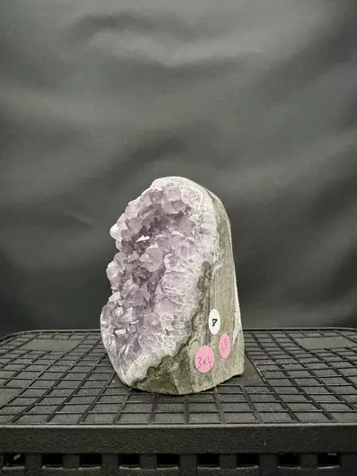 plant/#4 Amethyst Geode-1-thumbnail