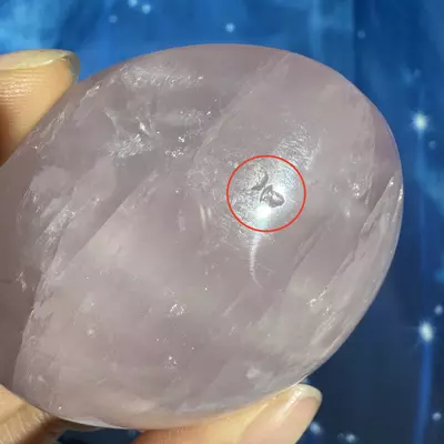 plant/Rose Quartz Palm - 22an-5-thumbnail