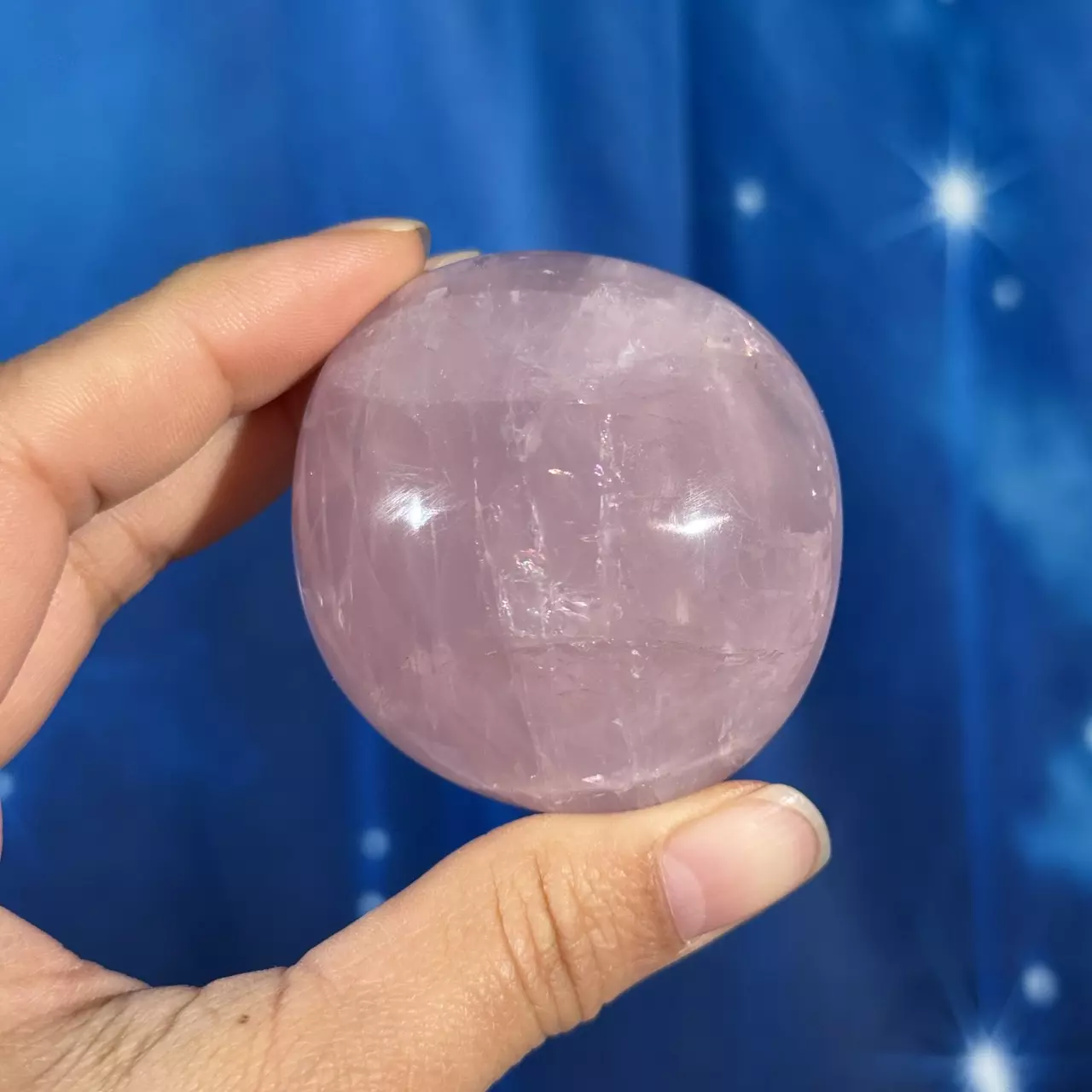 plant/Rose Quartz Palm - 28f-0