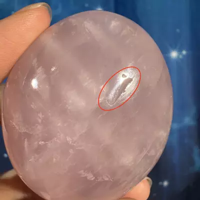 plant/Rose Quartz Palm - 22an-4-thumbnail