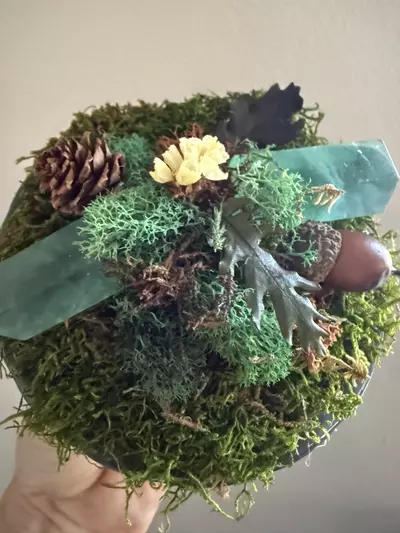plant/Nature’s Bounty Cake Stand-2-thumbnail