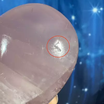 plant/Rose Quartz Palm - 29z-5-thumbnail