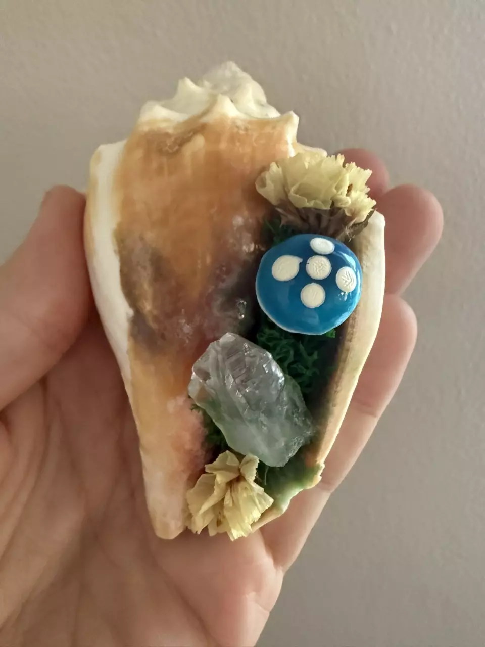 plant/Conch Shell 2-1