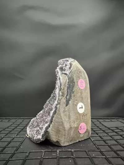 plant/#7 Black Amethyst Geode-1-thumbnail