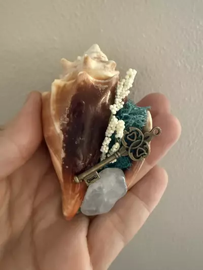 plant/Conch Shell 1-0-thumbnail