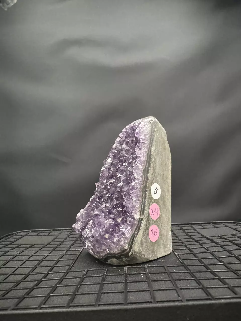 plant/#5 Amethyst Geode-1