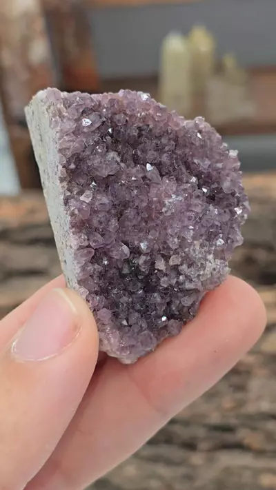 plant/🔥WAS 12🔥Amethyst Cluster from Turkey-0-thumbnail