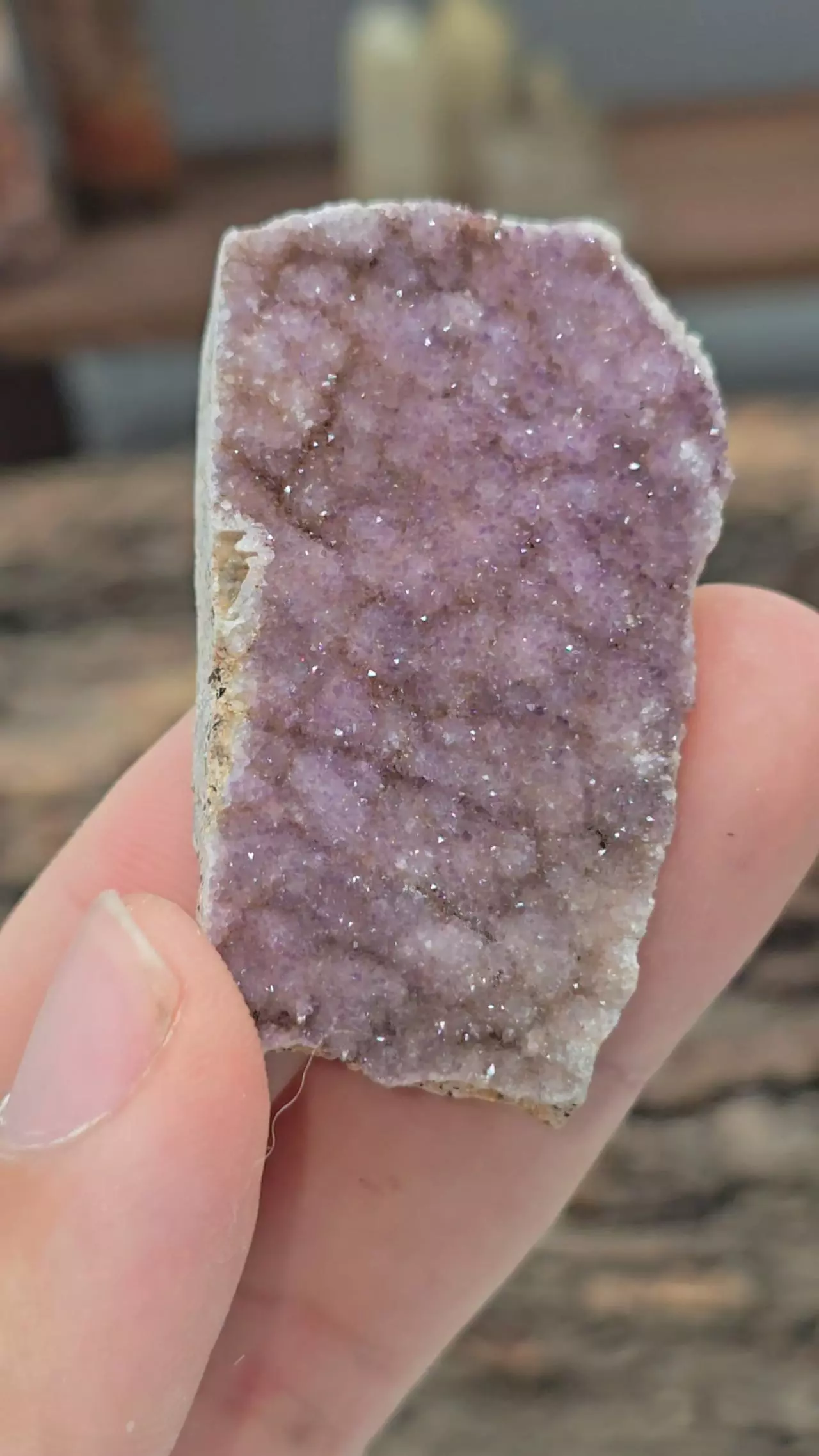 plant/🔥WAS 12🔥 Amethyst Cluster from Turkey-0
