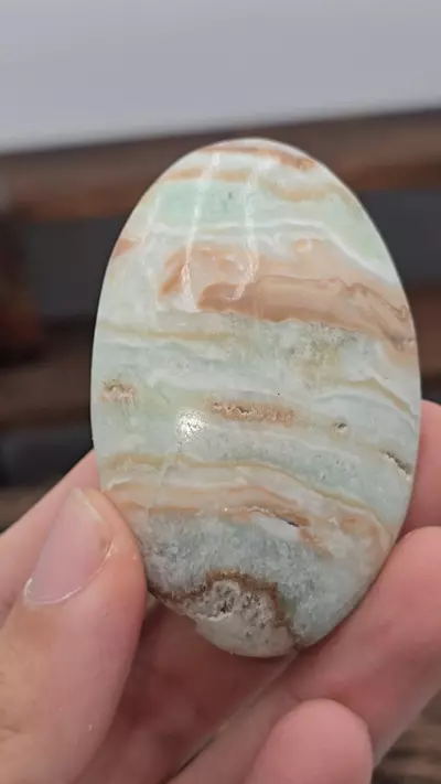 plant/🔥WAS 14🔥Caribbean Calcite Palmstone from Pakistan-0-thumbnail