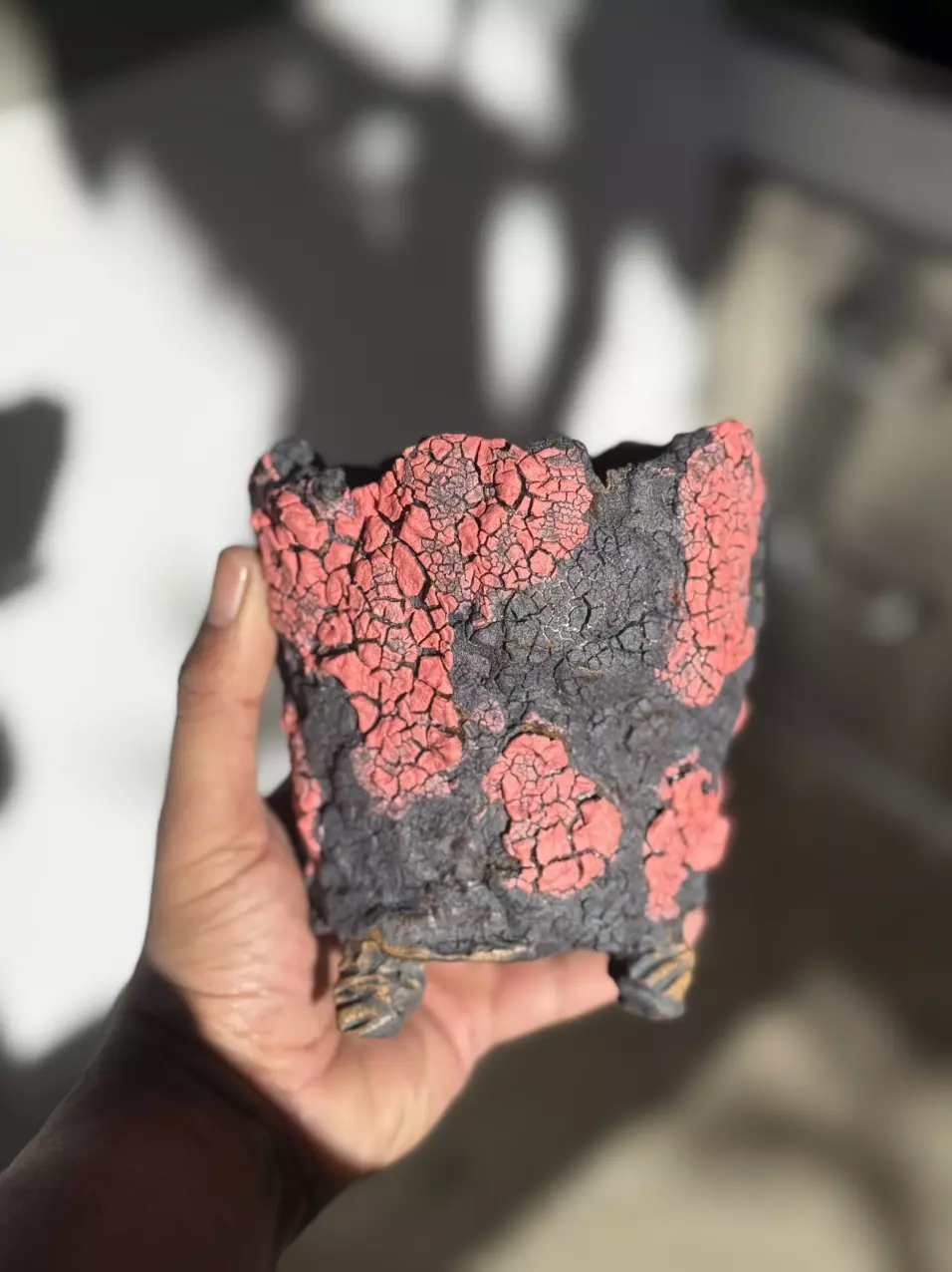 plant/Daredevil 5x5-0