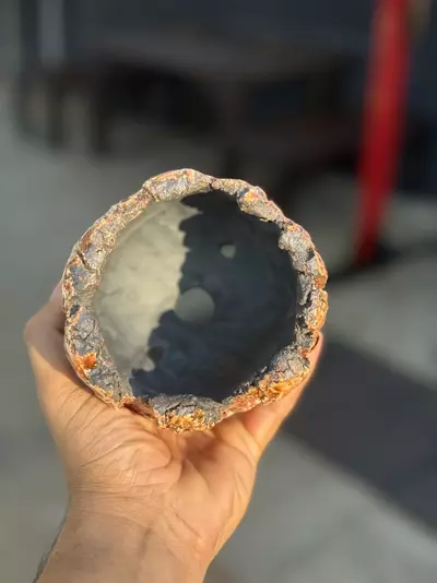 plant/Pink panther 4.25x3.5H-1-thumbnail