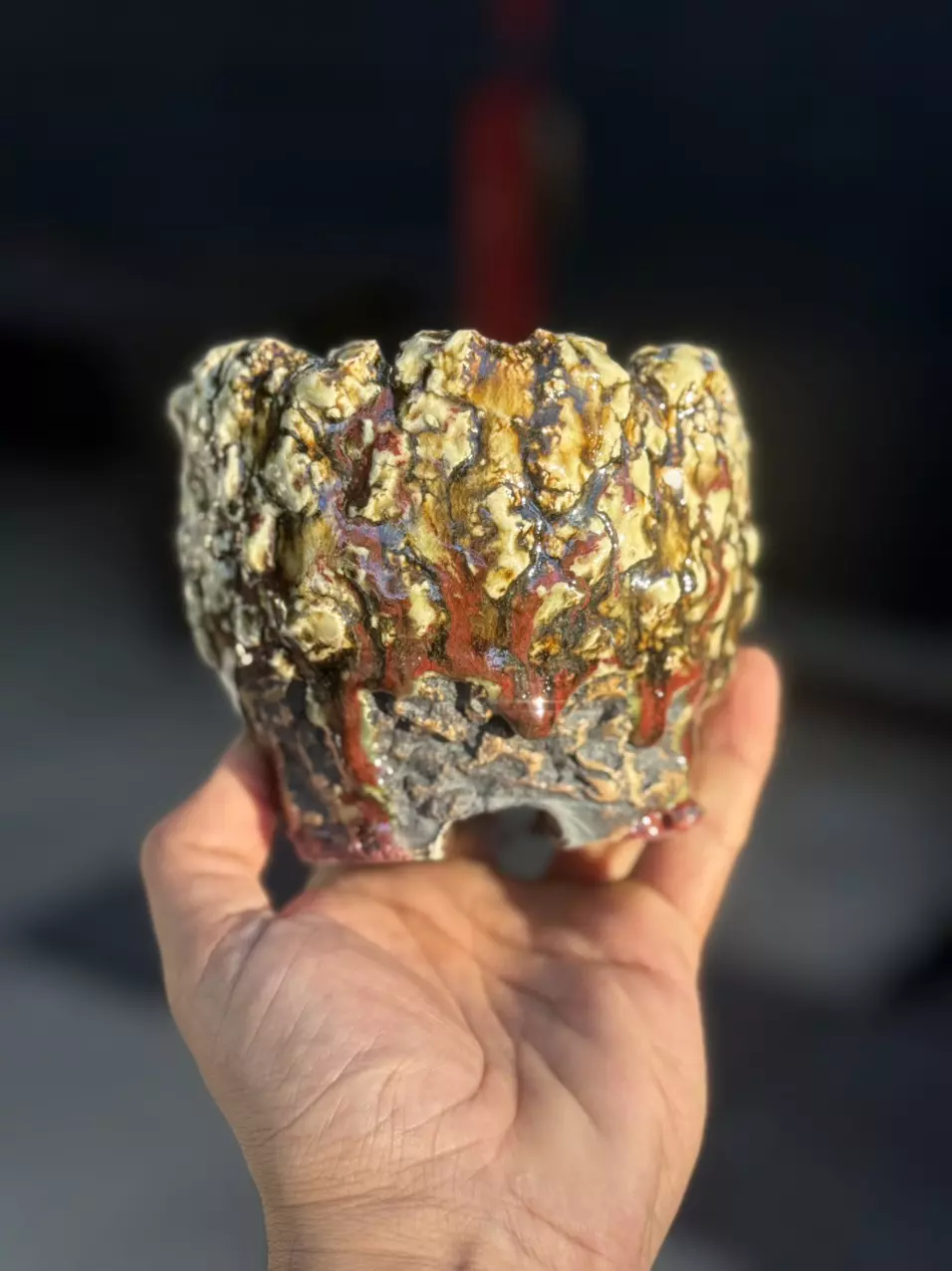 plant/Spice Footed 5x4H-0