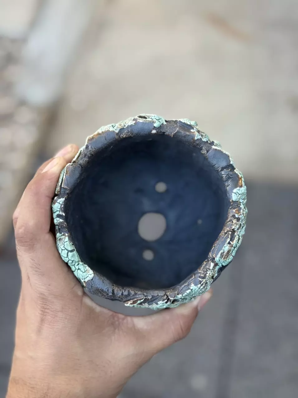 plant/Black Tiffany 4.5x4H-1