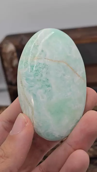 plant/🔥WAS 18🔥Caribbean Calcite Palmstone from Pakistan-0-thumbnail