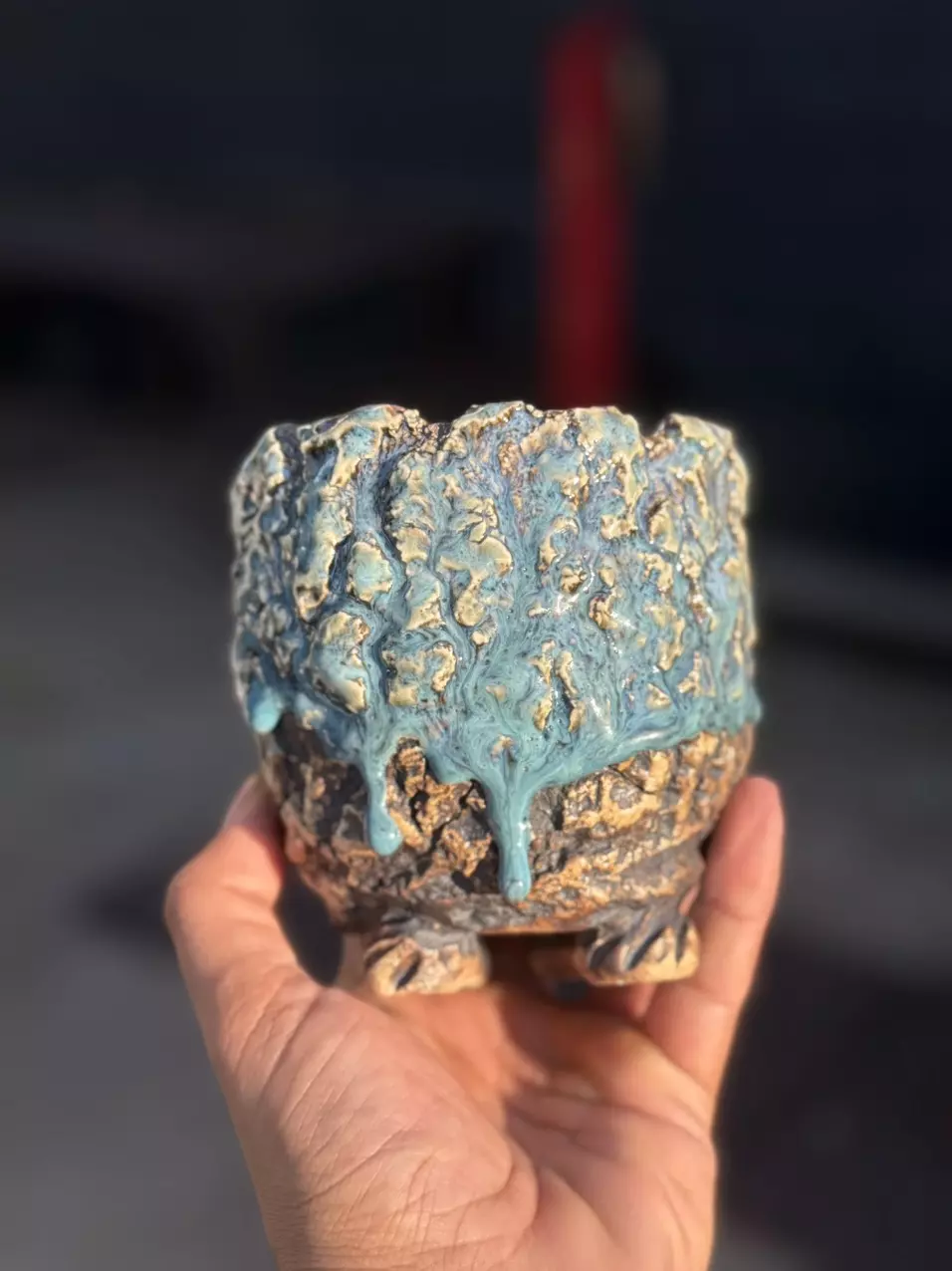 plant/Denim dream footed 4.5x4.5-0