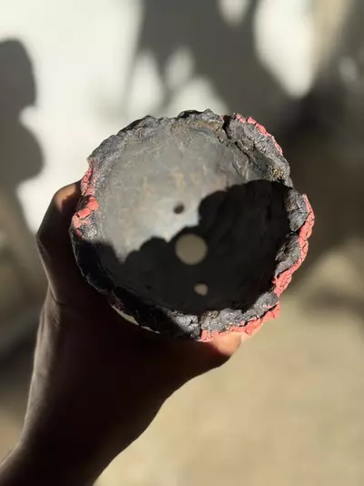 plant/Daredevil 5x5-1-thumbnail