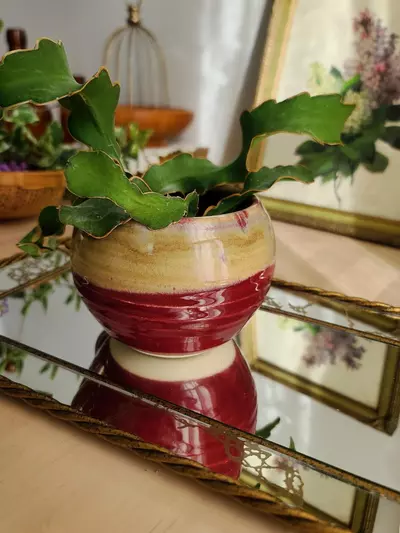 plant/Red Studio Pottery Mug-2-thumbnail