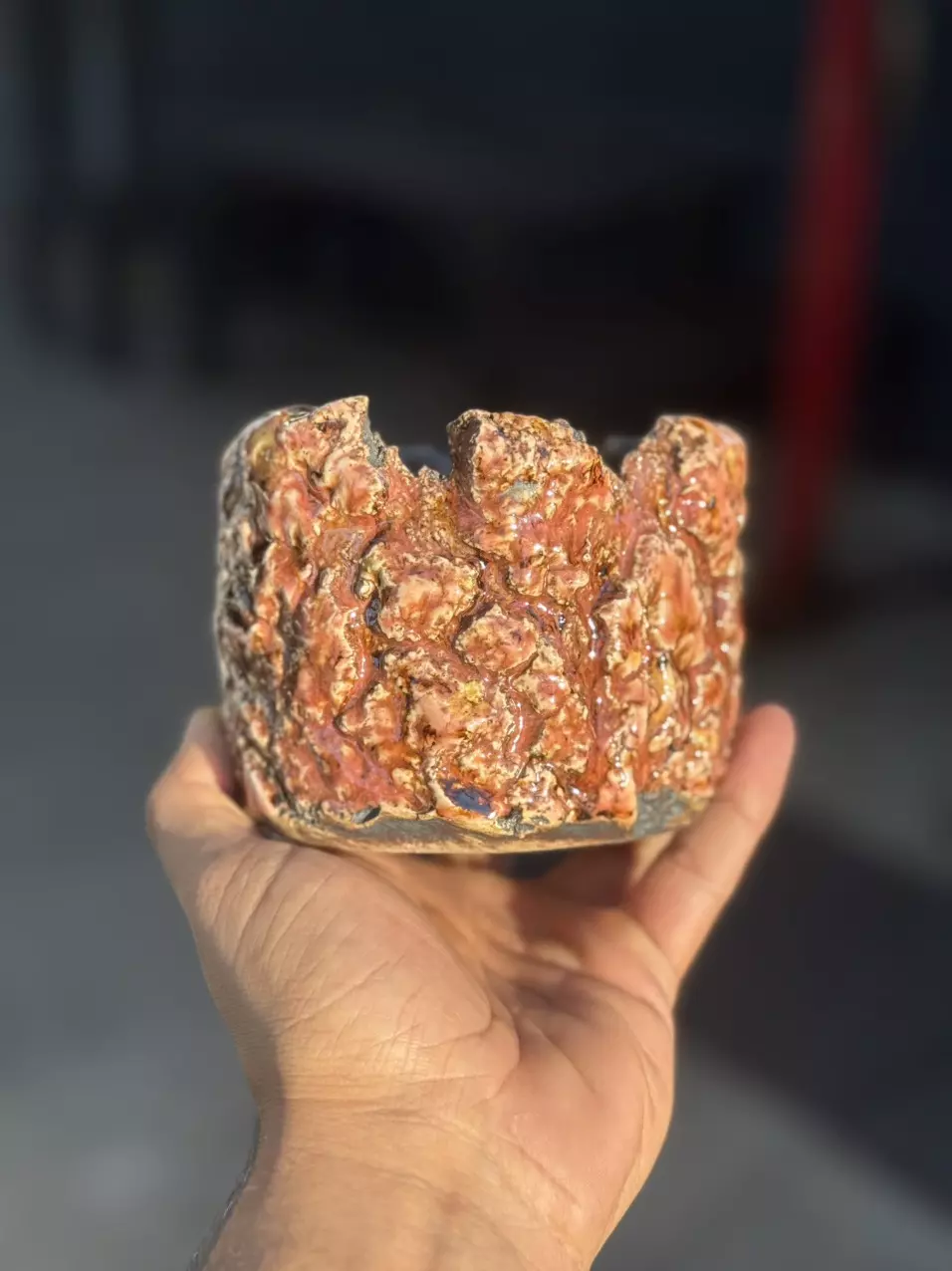 plant/Pink panther 4.25x3.5H-0