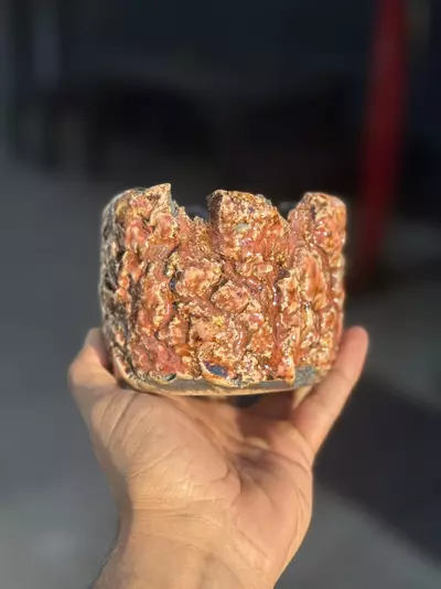 plant/Pink panther 4.25x3.5H-0-thumbnail