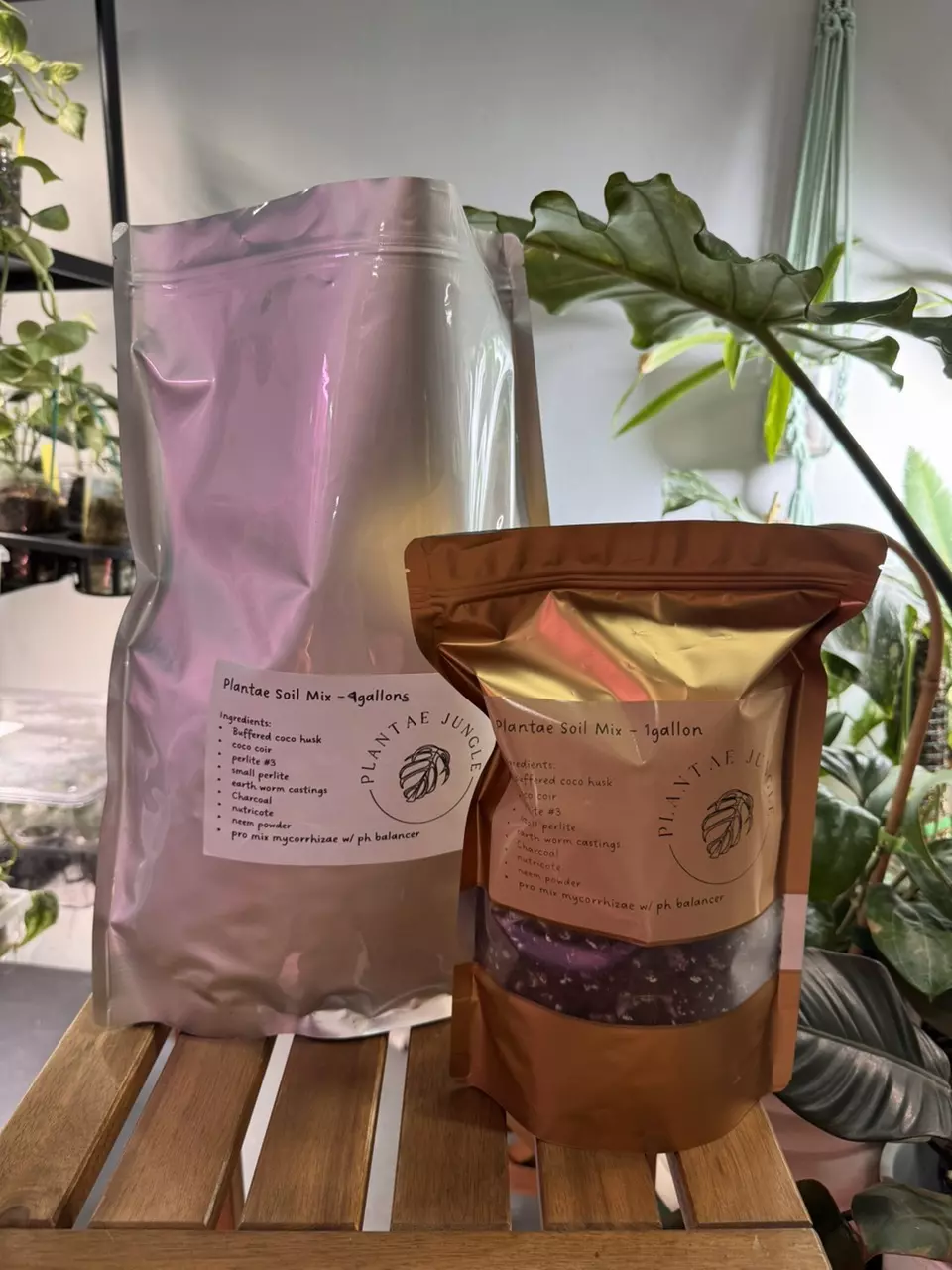 plant/Plantae jungle soil mix - 4 g-0