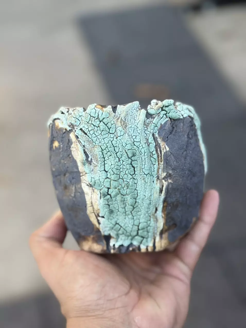 plant/Black Tiffany 4.5x4H-0